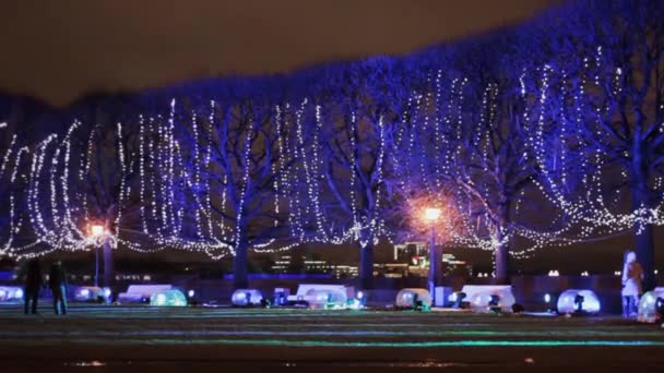 Fabuloso Parque Com Árvores Iluminadas Com Bancos Noite — Vídeo de Stock