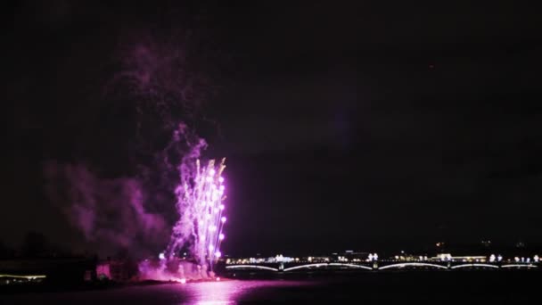 Fireworks City Pink Purple Lights Beach Party — Stock Video