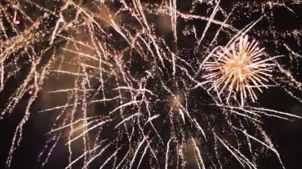 Salute Fireworks Line Flash Explosion Celebration — Stock video