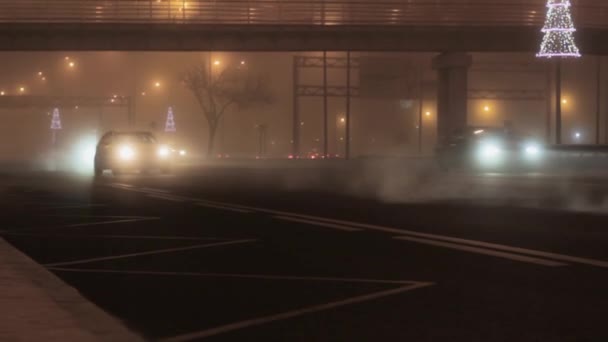 Traffico Autostradale Nebbia Meteo Nebbia Trasporto Pericolo — Video Stock