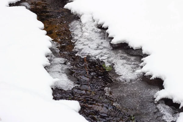 冬季森林溪流在冰中净化淡水 — 图库照片