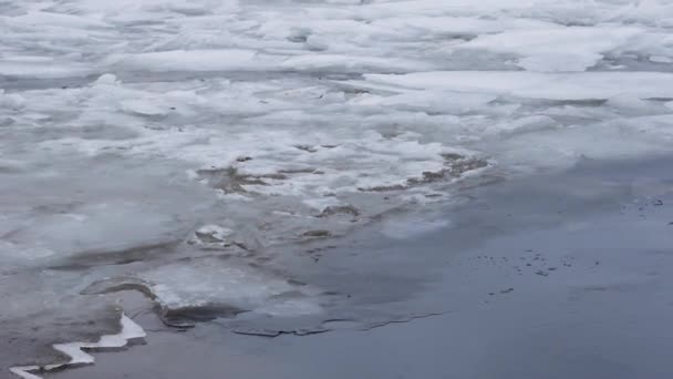 Scioglimento Dei Blocchi Ghiaccio Nella Neve Dell Acqua Del Fiume — Video Stock