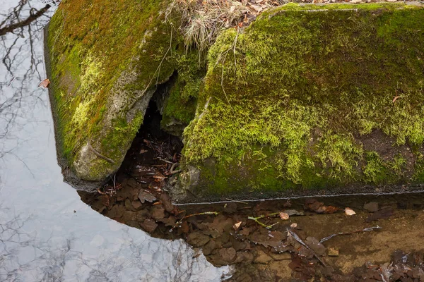 Piedras en el musgo cerca del arroyo del bosque — Foto de Stock