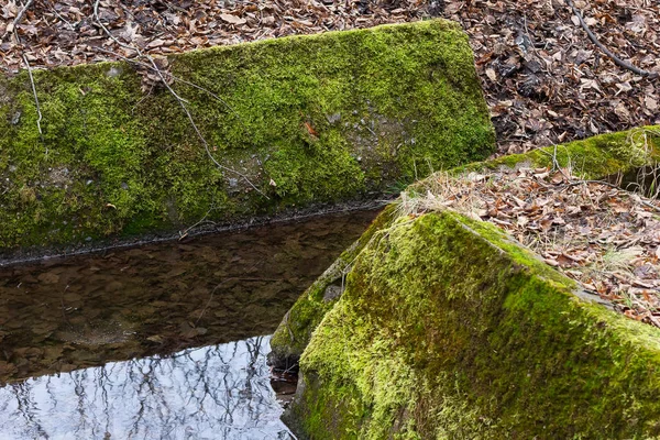 Stones in the moss near the forest stream — Stockfoto