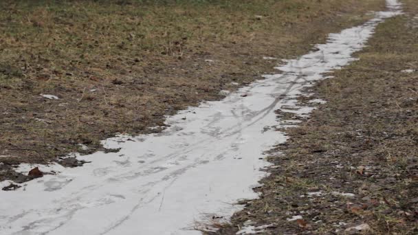 Voeten Wandelen Winter Bospad Wandelpad — Stockvideo