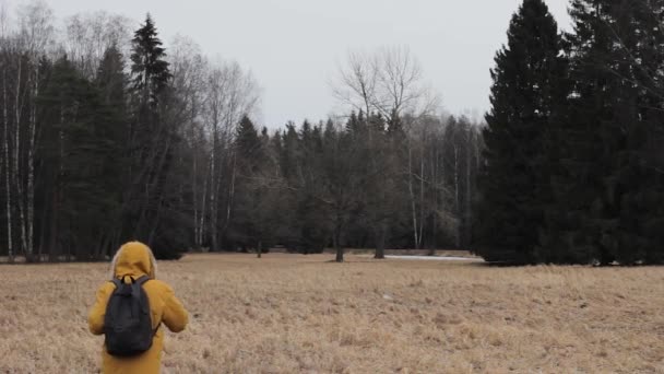 Reisende Auf Dem Feld Mit Einem Einsamen Baumabenteuer — Stockvideo