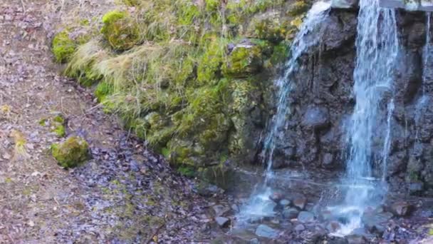 Waterval stenen in het mos beweging meditatie — Stockvideo