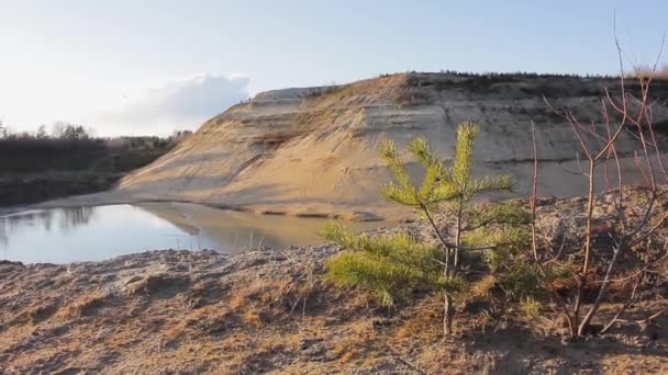 Sable Montagne Lac Sapin Plantes Calme Paysage Naturel — Video