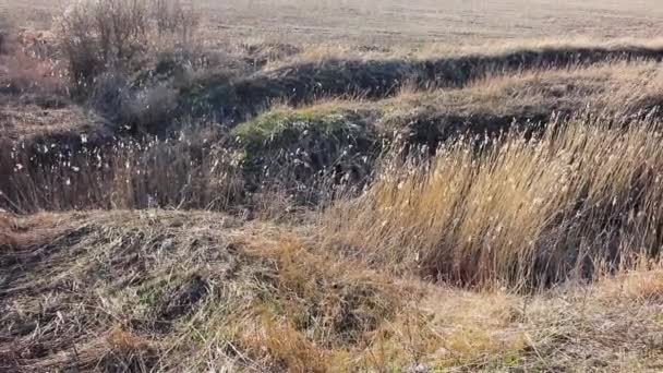 Landbouwgebied in de buurt van de boerderij productie stadslandschap — Stockvideo