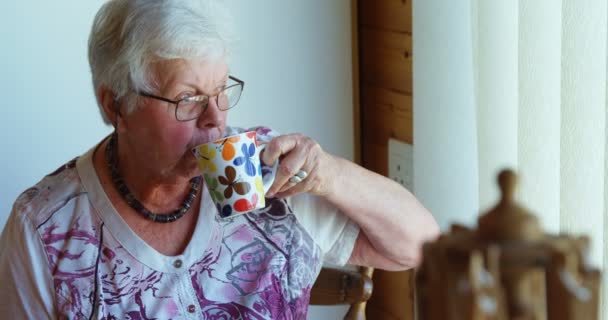 Senior Vrouw Koffie Drinken Zoek Door Raam Workshop — Stockvideo