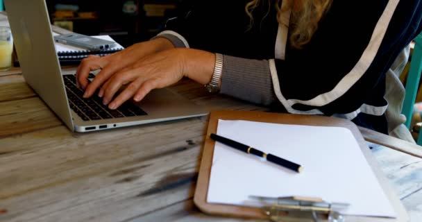 Mid Sectie Van Volwassen Vrouw Met Laptop Bij Huis — Stockvideo