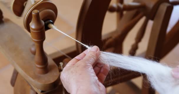 Senior Woman Operating Weaving Machine Workshop — Stock Video