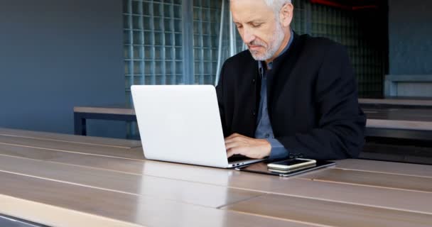 Maturo Uomo Affari Utilizzando Laptop Hotel — Video Stock