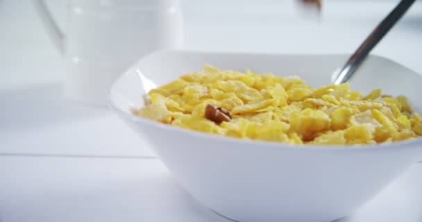 Primer Plano Trigo Cereal Con Cuchara Tazón — Vídeos de Stock