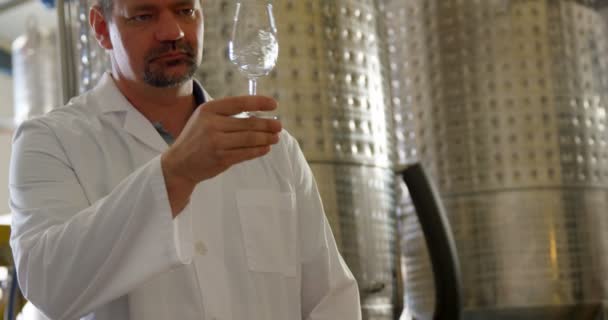 Dojrzałe Mężczyzna Robotnik Badanie Alkohol Fabryce — Wideo stockowe