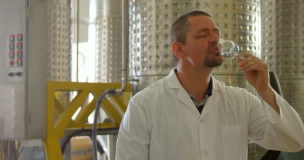 成熟した男性労働者工場 で酒を調べる — ストック動画