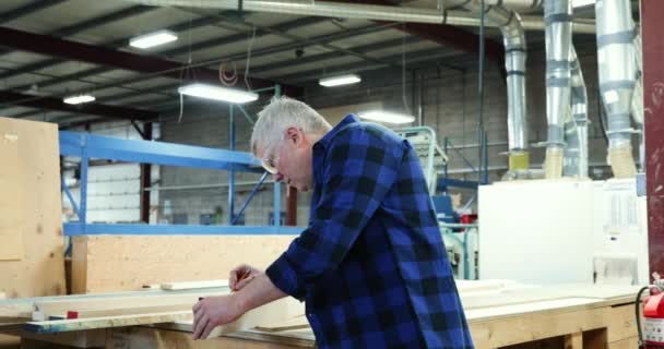 一个面带微笑的白人男性木匠头戴安全眼镜站在工作台旁边 双手交叉地测量和看着相机的画像 — 图库视频影像