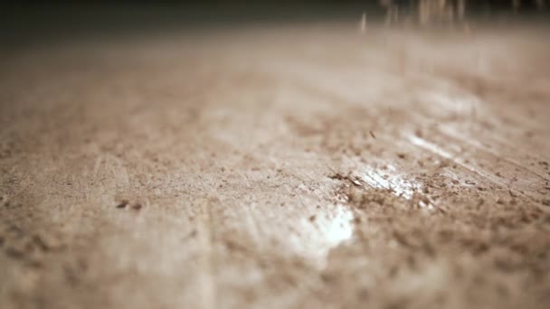 Close Piece Freshly Cut Wood Plank Woodshop Some Sawdust Appearing — Stock Video