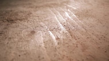 Yüzeyinde talaş tozu olan bir marangozhanedeki yeni kesilmiş tahta parçasını kapat.