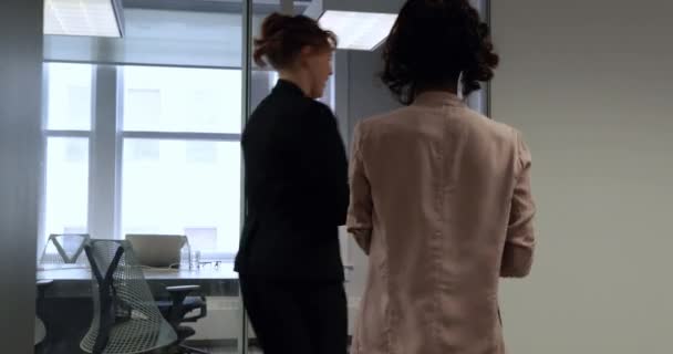 Rear View Two Businesswomen Working Modern Office Walking Meeting Room — Stock Video