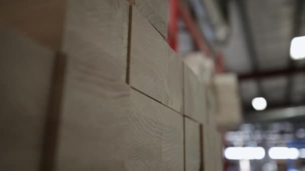 Detailní Záběr Kousky Čerstvě Vyřezaného Dřeva Uspořádané Vedle Sebe Obchodě — Stock video