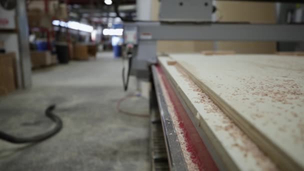 Sluiten Van Stukken Pas Gesneden Hout Met Zaagsel Opgestapeld Een — Stockvideo