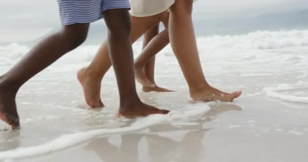 Низкая Часть Афроамериканской Женщины Идущей Вдоль Пляжа Море Своим Маленьким — стоковое видео