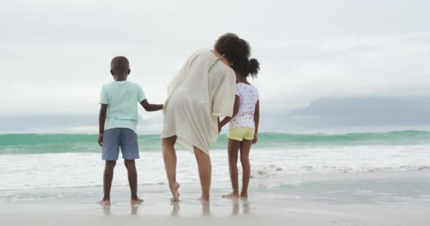 Widok Afroamerykankę Stojącą Plaży Widokiem Morze Trzymającą Się Ręce Wiosłującą — Wideo stockowe