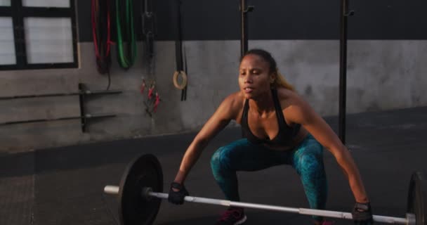 Vorderansicht Einer Athletischen Mischlingshündin Sportkleidung Beim Crosstraining Einem Fitnessstudio Die — Stockvideo