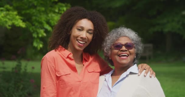 Ritratto Una Donna Afroamericana Anziana Con Capelli Corti Ricci Grigi — Video Stock