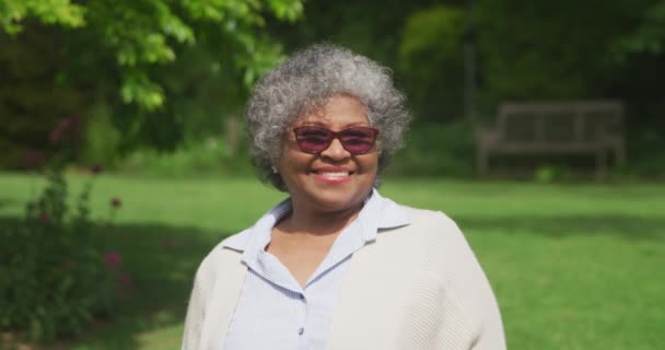 Portrait Senior African American Woman Short Grey Curly Hair Wearing — Stock Video