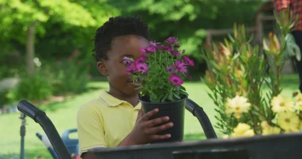 Вид Спереди Афроамериканского Мальчика Саду Стоящего Рядом Тачкой Держащего Цветок — стоковое видео