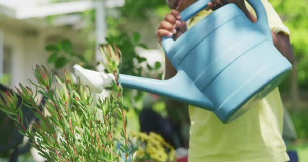 前面是一位年轻的非洲裔美国男孩在花园里的近景 他用水壶浇灌植物 动作缓慢 — 图库视频影像
