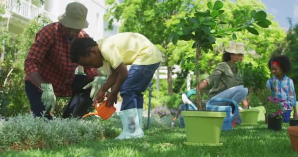 Seitenansicht Eines Afrikanisch Amerikanischen Mannes Und Seines Kleinen Sohnes Garten — Stockvideo