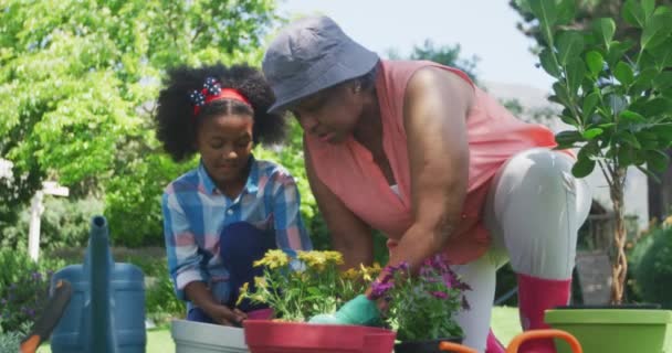 庭のアフリカ系アメリカ人の女性と彼女の若い孫娘の正面図は 下にひざまずいて 植物に傾向があり ゆっくりと動き — ストック動画