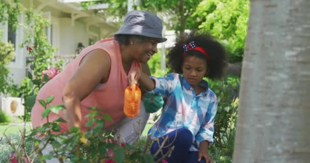 一位非洲裔美国老妇人和她年幼的孙女在花园里跪在地上照料着植物 孙女用水壶 动作缓慢 — 图库视频影像