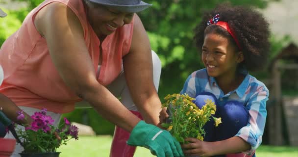 彼女の若い孫と孫娘がひざまずいて 植物や笑顔に傾向があり スローモーション — ストック動画