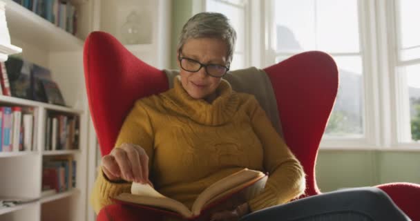 一位白种人老妇人的头像 她在家里留着灰白的短发 身穿斗篷颈毛衣 戴着眼镜 坐在靠背的扶手椅上看书 背对着窗外的阳光 动作缓慢 — 图库视频影像