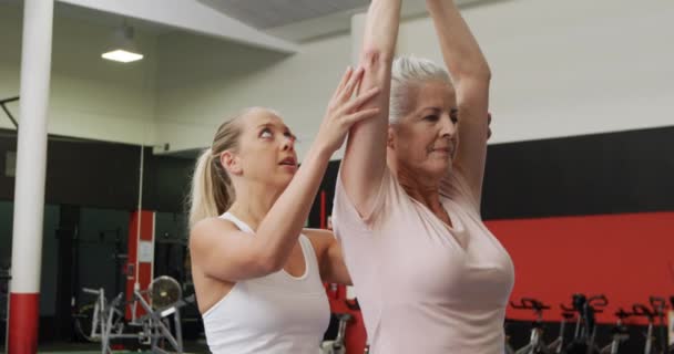 白人女性理学療法士が運動プログラムを通して指導し腕を上げストレッチをするスポーツセンタージムで運動している白人女性の正面図 — ストック動画