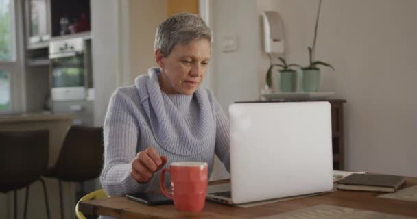 成熟した白人女性のフロントビュー短い灰色の髪を身に着けています牛首セーター彼女のダイニングルームテーブルに座ってコーヒーを飲みながら ラップルコンピュータを使用して スローモーション — ストック動画