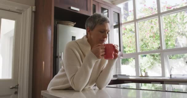 窓のそばの作業場に座ってコーヒーを飲み両手でそれを保持しスローモーションで彼女の台所で短い灰色の髪を持つシニア白人女性の側面図 — ストック動画
