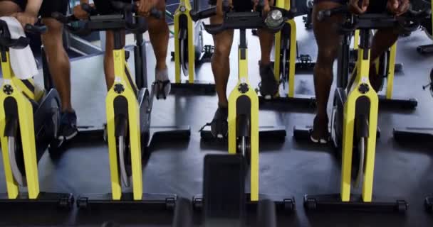 Front View Low Section Diverse Group Adults Wearing Sports Clothes — Stock Video