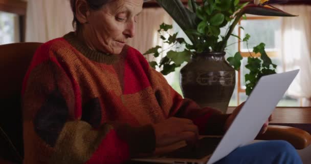 一位白种人的老年妇女坐在客厅里 坐在工厂旁边的扶手椅上 她用笔记本电脑思考着 动作缓慢 — 图库视频影像