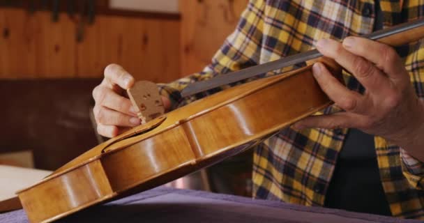 Elölnézet Közeli Kép Egy Idősebb Kaukázusi Női Luthier Dolgozik Hegedű — Stock videók