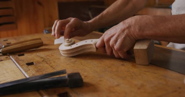 Vista Lateral Sección Central Una Luthier Mujer Caucásica Mayor Trabajando — Vídeos de Stock