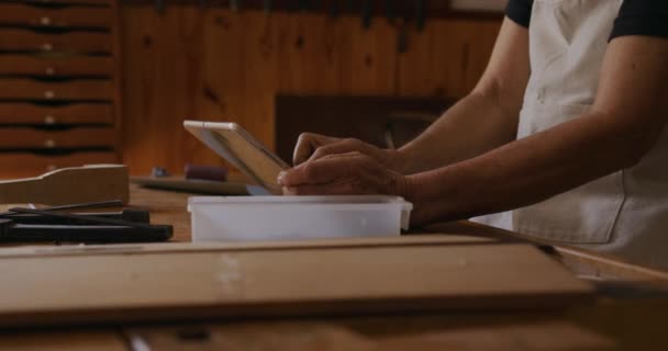 Visão Lateral Seção Média Luthier Feminino Caucasiano Sênior Trabalhando Violino — Vídeo de Stock