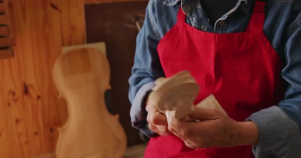 Kafkas Bir Kadın Luthier Atölyesinde Keman Üzerinde Çalışırken Keskin Bir — Stok video