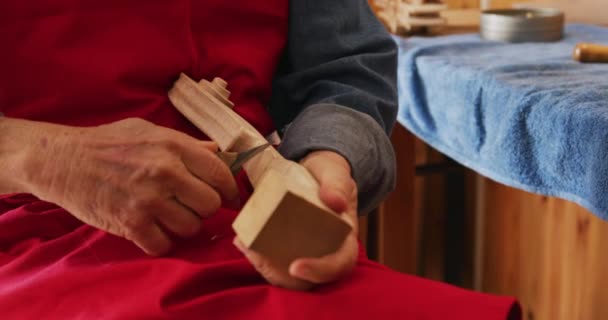 Vista Frontal Close Luthier Feminino Caucasiano Sênior Trabalhando Violino Sua — Vídeo de Stock