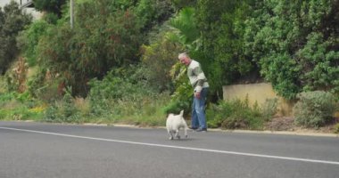 Yaşlı, beyaz bir adamın, köpeğini sessiz, boş bir yolda yürütürken, ağaçların ve çalıların arkasında, ağır çekimde...