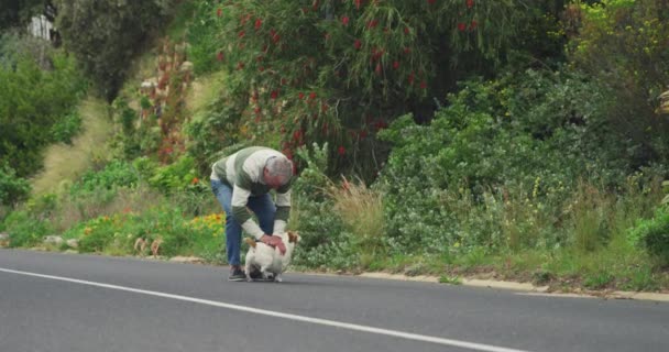 一个白人老人一边和他的宠物狗玩耍 一边在一条安静 空旷的路上走过树木和灌木丛 慢吞吞地走着的侧视图 — 图库视频影像